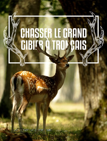 Chasser le grand gibier à Tronçais