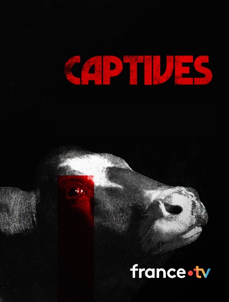 france.tv - Captives en replay