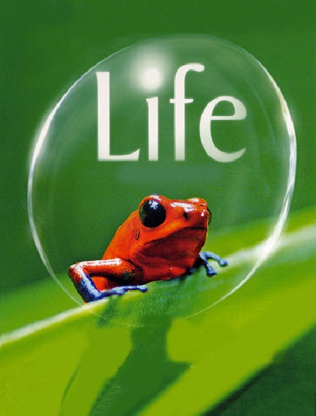 Life, l'aventure de la vie