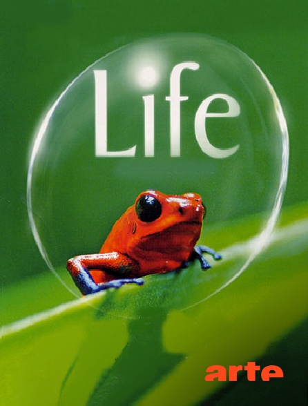 Arte - Life, l'aventure de la vie
