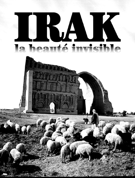 Irak, la beauté invisible