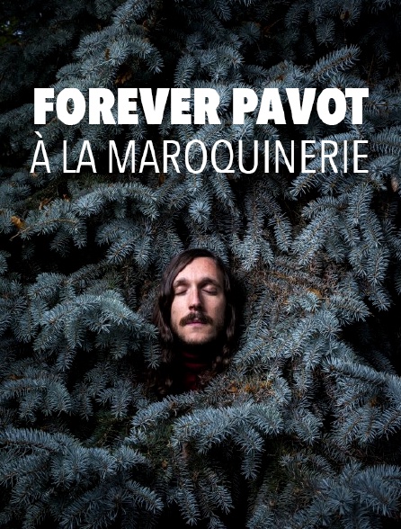 Forever Pavot à la Maroquinerie