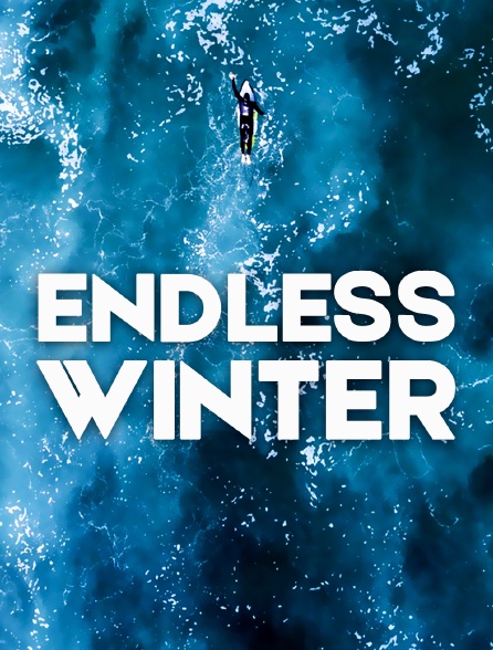 Endless Winter