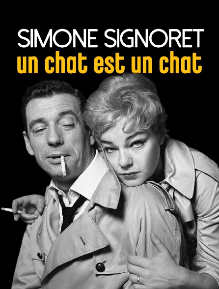 Simone Signoret, un chat est un chat