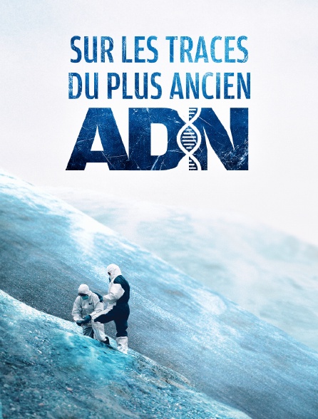 Sur les traces du plus ancien ADN
