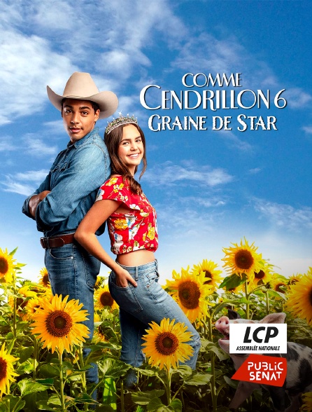 LCP Public Sénat - Comme Cendrillon 6 : Graine de star