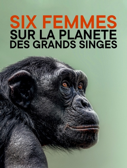 Six femmes sur la planète des grands singes