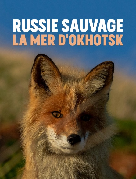 Russie sauvage : la mer d'Okhotsk