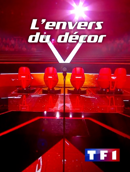 TF1 - The Voice : l'envers du décor