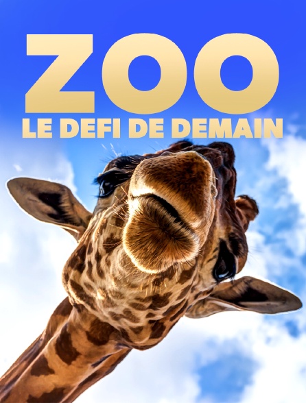 Zoo : le défi de demain