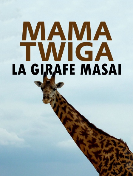 Mama Twiga, la girafe masaï