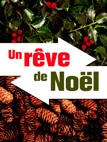 Un rêve de Noël