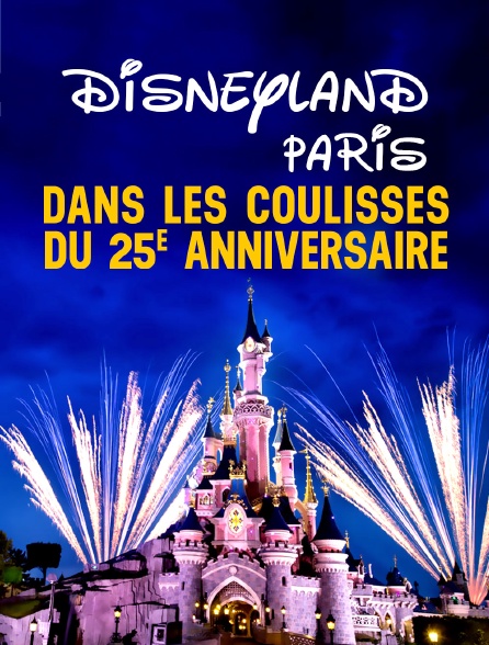 Disneyland Paris Dans Les Coulisses Du 25e Anniversaire En Streaming Molotov Tv