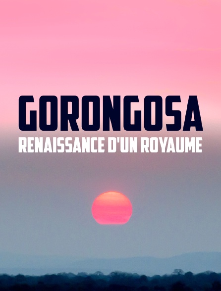 Gorongosa, renaissance d'un royaume