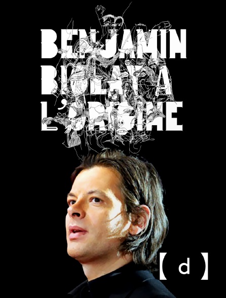 France TV Docs - Benjamin Biolay, à l'origine