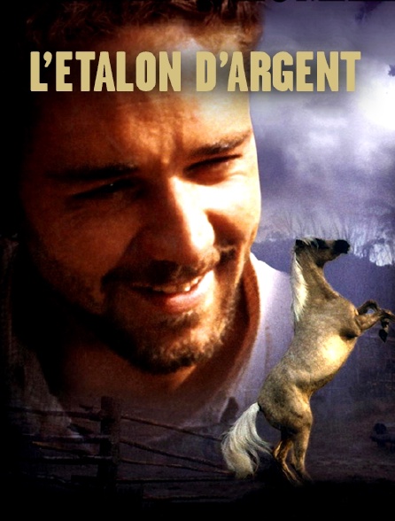 L'étalon d'argent