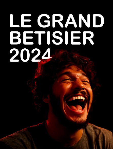 Le grand bêtisier 2024