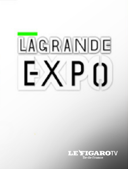 Le Figaro TV Île-de-France - La grande expo