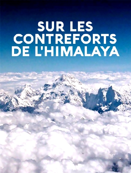 Sur les contreforts de l'Himalaya