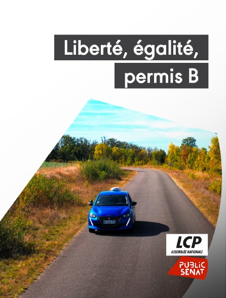 LCP Public Sénat - Liberté, égalité, permis B