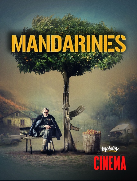 Molotov Channels Cinéma - Mandarines