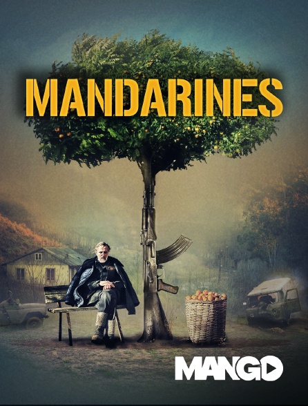 Mango - Mandarines