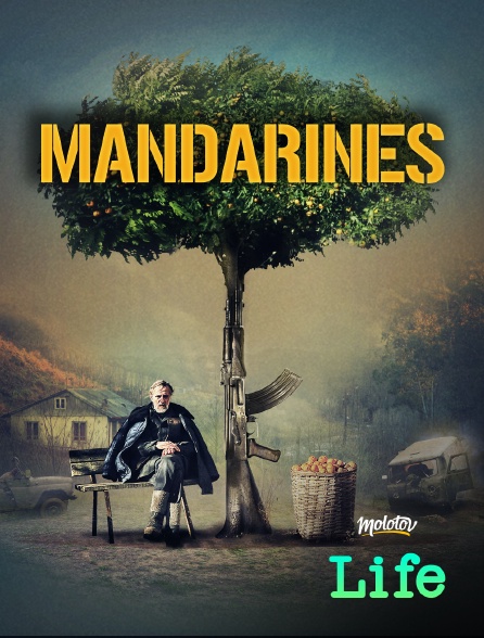 Molotov Channels Life - Mandarines