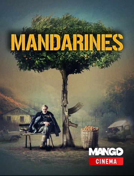 MANGO Cinéma - Mandarines