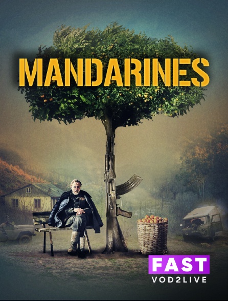 Molotov Channels TEST FAST - Mandarines