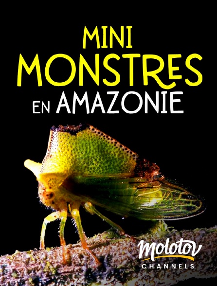 Molotov channels - Mini Monstres en Amazonie