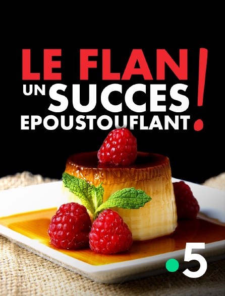 France 5 - Le flan : un succès époustouflant !