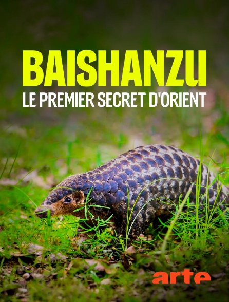 Arte - Baishanzu, le premier secret d'Orient