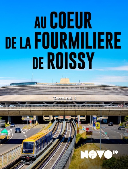 NOVO19 - Au coeur de la fourmilière de Roissy