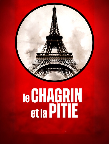 Le chagrin et la pitié