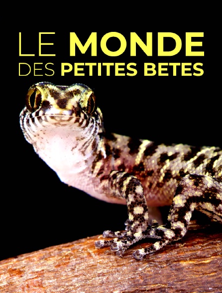 Le monde des petites bêtes