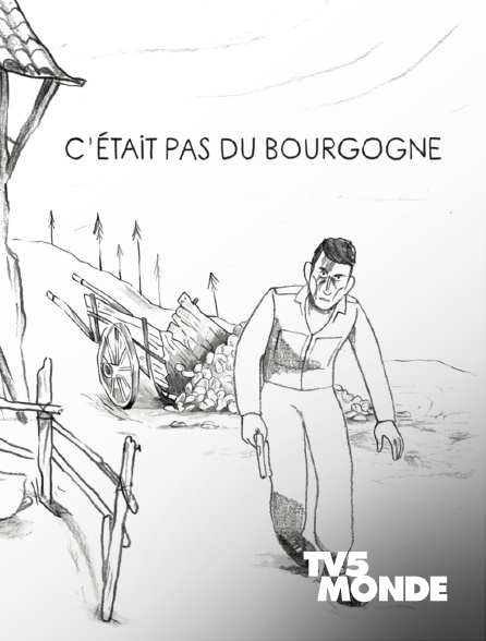 TV5MONDE - C'était pas du Bourgogne