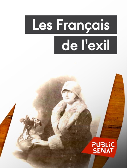 Public Sénat - Les Français de l'exil