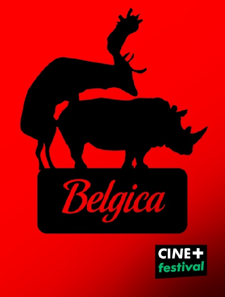 CINE+ Festival - Belgica