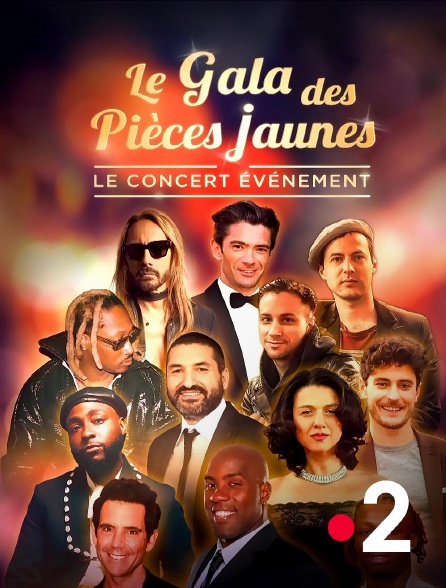 France 2 - Le gala des Pièces jaunes : le concert événement
