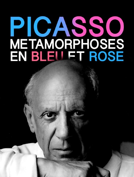 Picasso, métamorphoses en bleu et rose