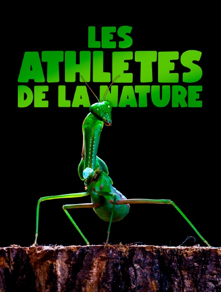 Les athlètes de la nature