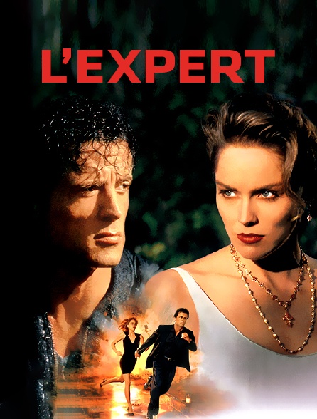 L'expert