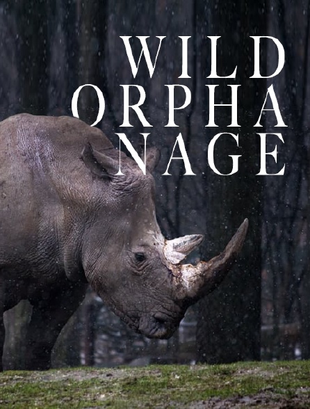 L'orphelinat de la savane