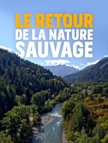 Le retour de la nature sauvage