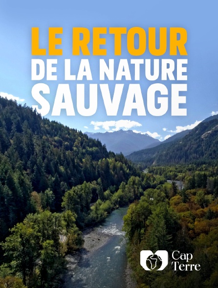 Cap Terre - Le retour de la nature sauvage
