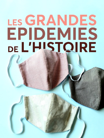 Les grandes épidémies de l'Histoire