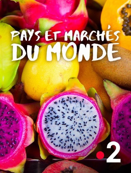 France 2 - Pays et marchés du monde