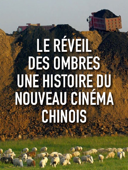 Le réveil des ombres, une histoire du nouveau cinéma chinois