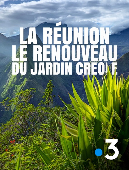 France 3 - La Réunion, le renouveau du jardin créole
