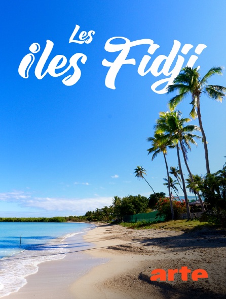 Arte - Les îles Fidji : Paradis des mers du Sud